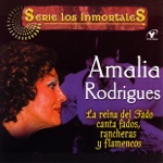 Amália Rodrigues - Fallaste Corazón
