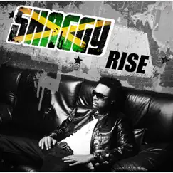 Rise by Shaggy album reviews, ratings, credits