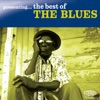 Presenting...The Best of the Blues