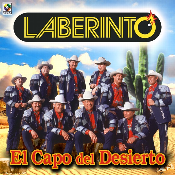 Cover artwork for Corrido De Solovino