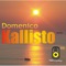 Kallisto - Domenico lyrics