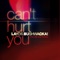Can't Hurt You (feat. Kim Ann Foxman) - Layo & Bushwacka! lyrics