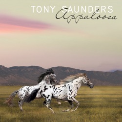 Tony Saunders - This Love of Mine