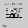 I Want Your Soul - Single