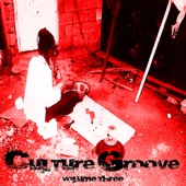 Culture Groove Vol 3 Platinum Edition artwork