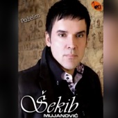 Pozelim (Serbian Music) artwork
