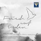 Friede auf Erden. Chorwerke von Schütz, Mendelssohn, Jennefelt, Ravel, Buchenberg, Desprez, Schönberg & Nystedt artwork