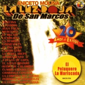 La Cumbia Sampuesana artwork