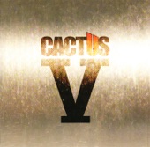 Cactus - The Groover