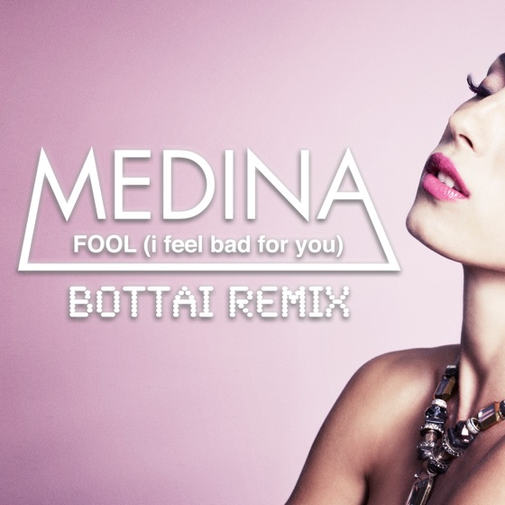 Cover artwork for Fool (I Feel Bad for You)