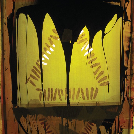 Cover artwork for Elephants