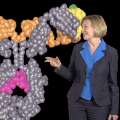 Subtitled iBiology Science Stories: English cover