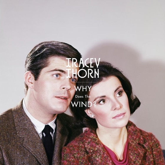 Cover artwork for Why Does the Wind? (Morgan Geist Remix)