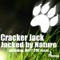 Jack By Nature (Matt Cox Mix) - Cracker Jack lyrics