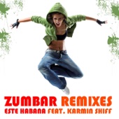 Zumbar (Karmin Shiff Remix) artwork
