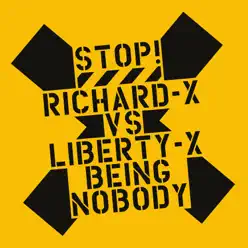 Being Nobody (Richard X vs. Liberty X) - Single - Liberty X
