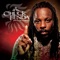 Getting Serious - Chuck Fenda lyrics