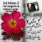 Dokhtare Boyer Ahmadi - Fariborz Lachini & Pari Zanganeh lyrics