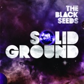 The Black Seeds - The Bubble