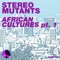 African Cultures (Niko de Luka Remix) - Stereo Mutants lyrics