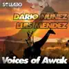 Voices of Awak - Single album lyrics, reviews, download