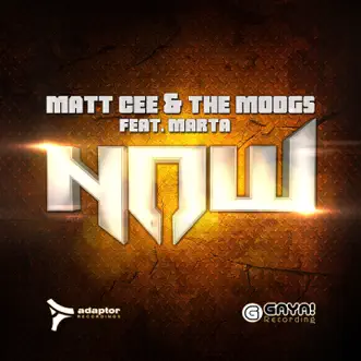 Now (feat. Marta) by Matt Cee & The Moogs album reviews, ratings, credits