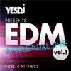 EDM Adrenaline, Vol. 1 - Fuel 4 Fitness album lyrics, reviews, download