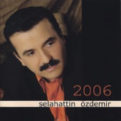 Selahattin Özdemir 2006 artwork