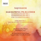 Concerto No. 4: iii. Uudslukkelig (Unextinguishable): Allegro con fuoco artwork