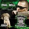 On the Grind (Featuring Freeway & Crys Wall) - Paul Wall featuring Freeway & Crys Wall lyrics