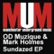 Sundazed (Original) - OD Muzique & Mark Holmes lyrics