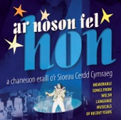 Ar Noson Fel Hon - Caneuon o Sioeau Cerdd Cymraeg (Songs from Welsh Language Musicals)