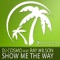 Show Me the Way [feat. Ray Wilson] - DJ Cosmo lyrics
