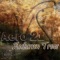 Autumn Trees (Original Mix) - Aero 21 lyrics