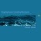 Catch The Fairy (Contemplation Mix) - Dhruva Aliman lyrics