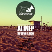 Groove Lingo (Max Volkholz Slow Elemets Remix) artwork