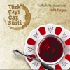 Halit Turgay - Uyuyan Dev