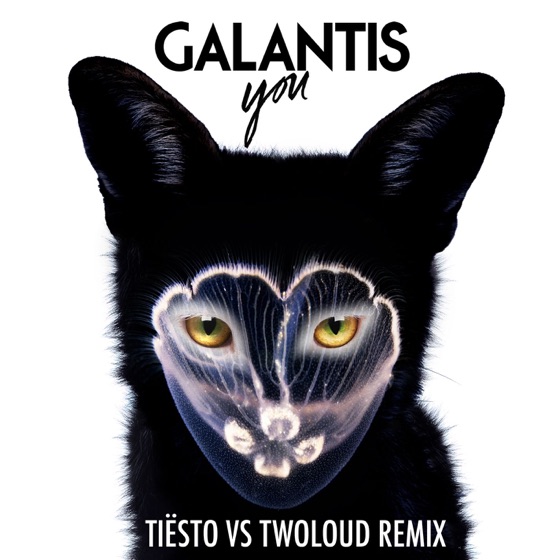 Cover artwork for You (Tiësto vs. Twoloud Radio Edit)