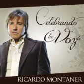 Celebrando la Voz de Ricardo Montaner artwork
