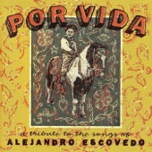 Por Vida: A Tribute to the Songs of Alejandro Escovedo artwork