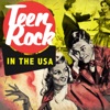 Teen Rock in the USA artwork