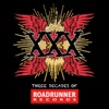 XXX: Three Decades of Roadrunner Records artwork
