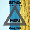 Mr Rommel - Canary Islands (EDM)