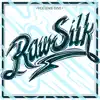 Raw Silk Vol. 1 (feat. K-Maxx, Sasac, Turquoise Summers, BUS CRATES 16-BIT ENSEMBLE, East Liberty Quarters, Benedek, Henning & TONI CLARKE) album lyrics, reviews, download
