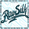 Raw Silk Vol. 1 (feat. K-Maxx, Sasac, Turquoise Summers, BUS CRATES 16-BIT ENSEMBLE, East Liberty Quarters, Benedek, Henning & TONI CLARKE)