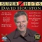 We’ve Got Everything But Love w/ Sherri Jerrico - David Houston lyrics