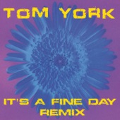 It's a Fine Day (Radio Remix Edit) artwork