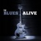 Back Door Slam - The Robert Cray Band lyrics