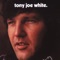 The Change - Tony Joe White lyrics