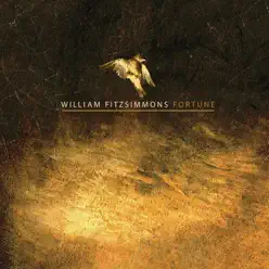 Fortune - Single - William Fitzsimmons